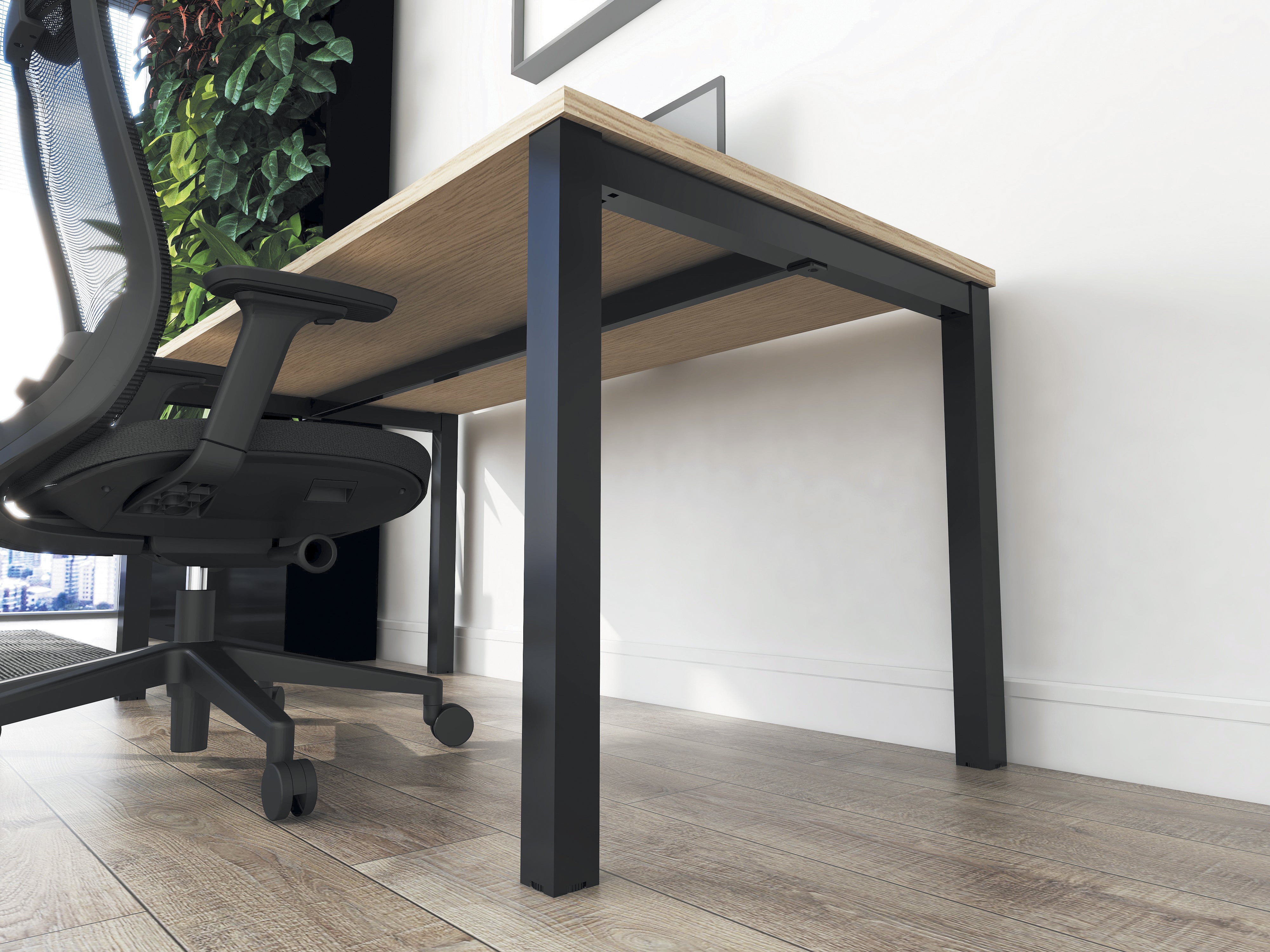 Vue en contre-plongée d'un Monsieur Bureau "Bureau individuel Astral Profondeur 70 ou 80" avec un plateau en bois clair et des pieds en métal noir, à côté d'une chaise de bureau à roulettes en maille noire, posée sur un sol en bois près d'un mur avec des plantes vertes verticales.