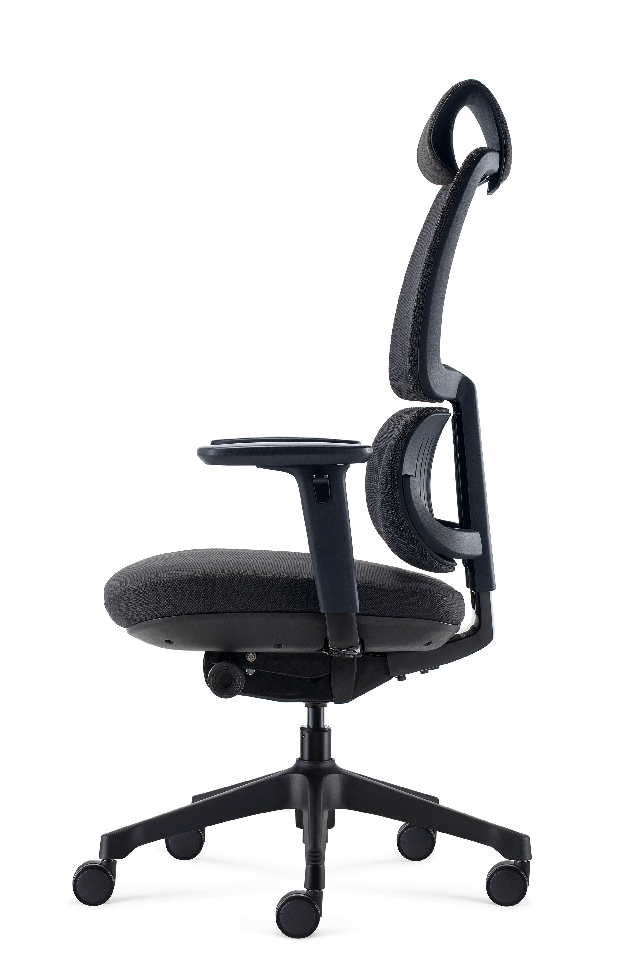 Fauteuil ergo Ursa synchrone 3D
