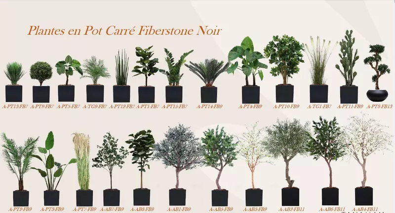 Plantes et arbres en pots carrés Fiberstone Noir