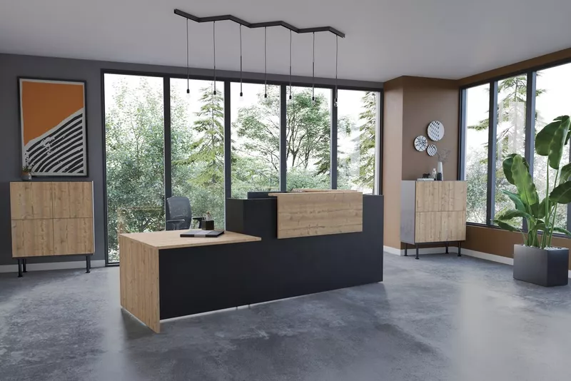 Banque d'accueil ABBA avec PMR 