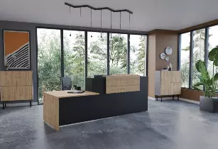 Banque d'accueil ABBA avec PMR Structure unie