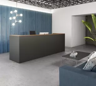 Banque d'Accueil Delta Pro – Design & Fonctionnalité