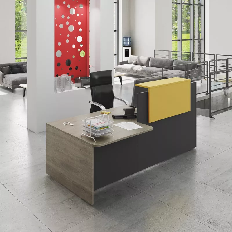 Banque d'accueil Domino avec PMR