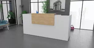 Banque d'accueil Domino