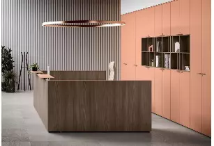 Banque d'accueil Newline