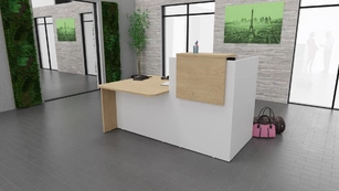 Banque d'Accueil Professionnelle DOMINO - Accès PMR