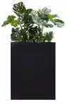 Bac Séparateur Monstera