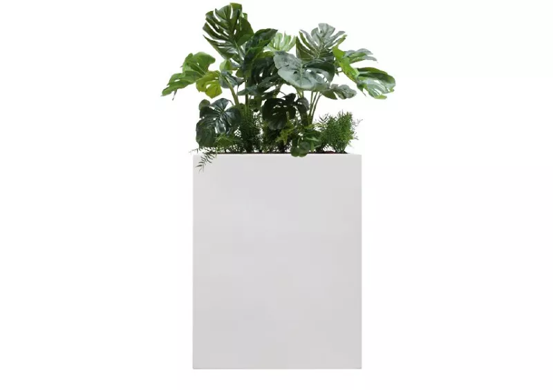 Bac Séparateur Monstera