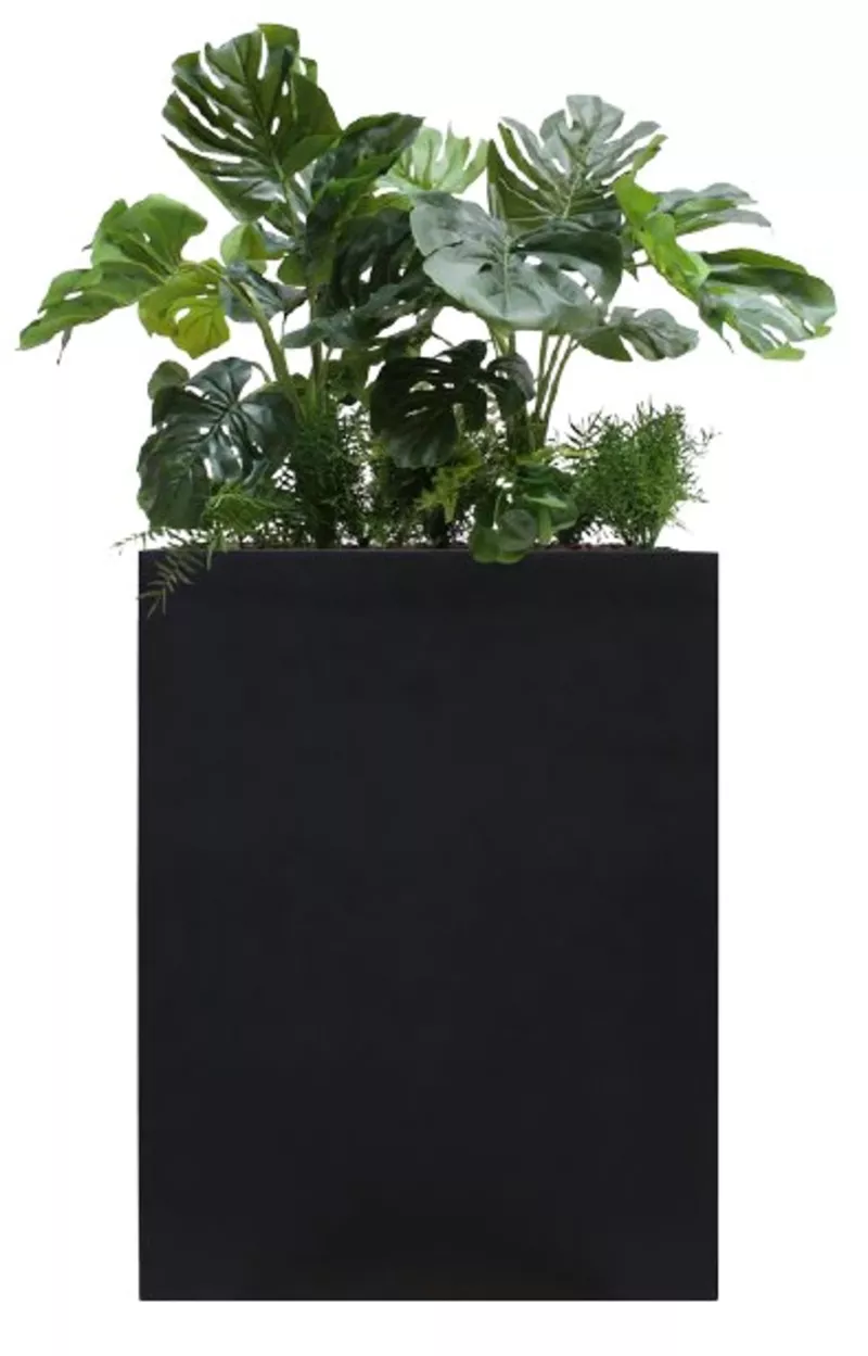 Bac Séparateur Monstera