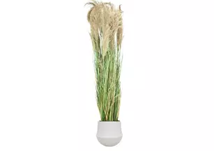 Grande Pampa semi-naturelle en pot céramique