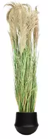 Grande Pampa semi-naturelle en pot céramique