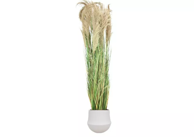 Grande Pampa semi-naturelle en pot céramique