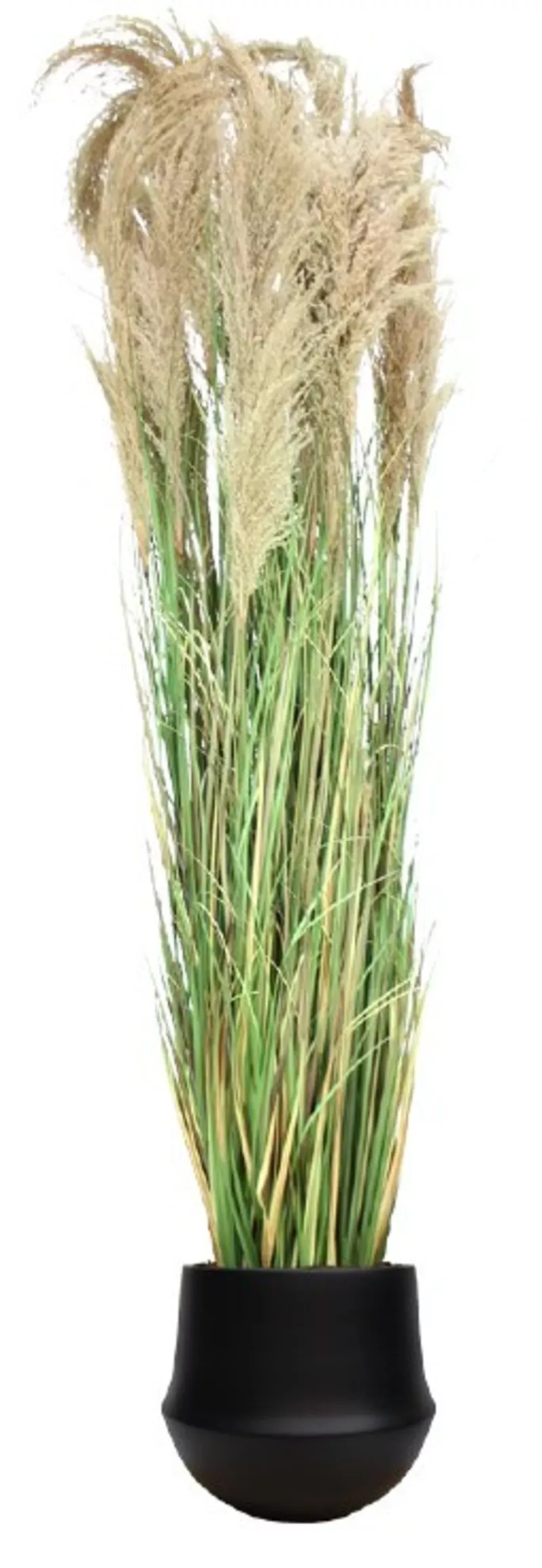 Grande Pampa semi-naturelle en pot céramique