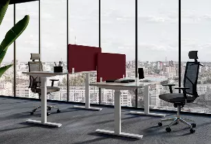 Bureau professionnel - bureau assis debout