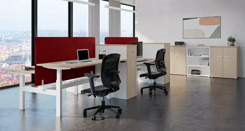 Bureau Bench 2 personnes Assis-debout électrique TOP & DOWN