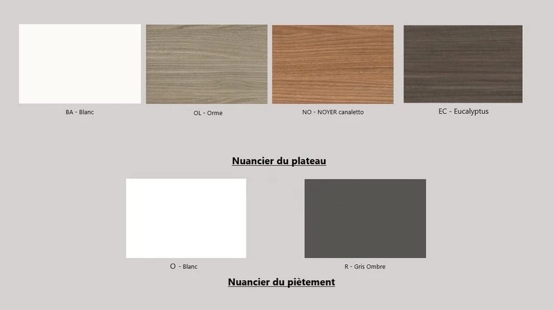 Bureau de Direction Design Roma avec Cr&eacute;dence et Caisson &ndash; Prestige Italien