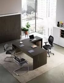 Bureau de direction PROFILA