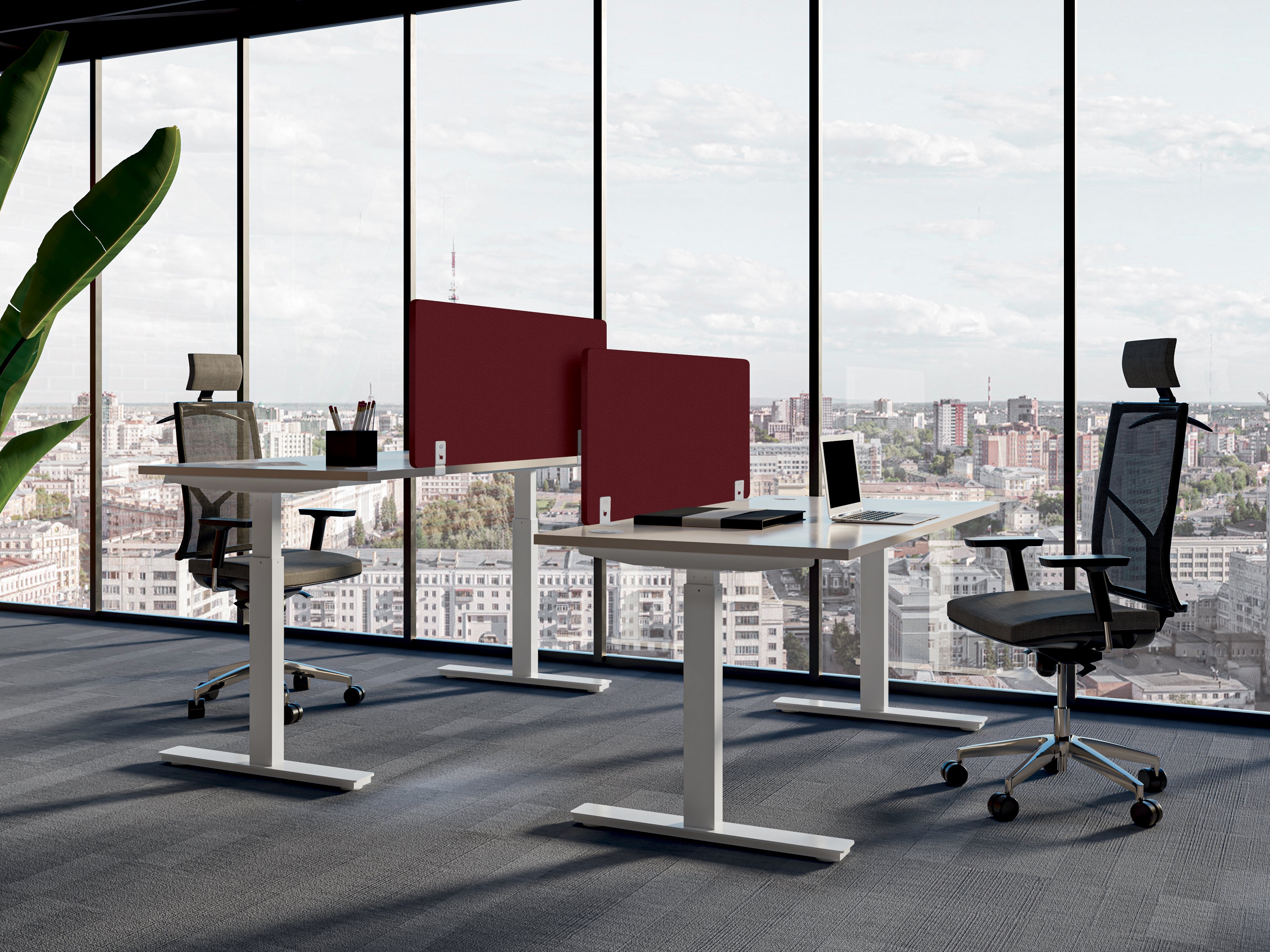 Espace de travail moderne équipé de deux chaises ergonomiques et bureaux assis-debout Top & Down Double Moteur Monsieur Bureau séparés par des panneaux rouges, grandes fenêtres avec vue, laptops et fournitures, plus une grande plante verte à gauche.