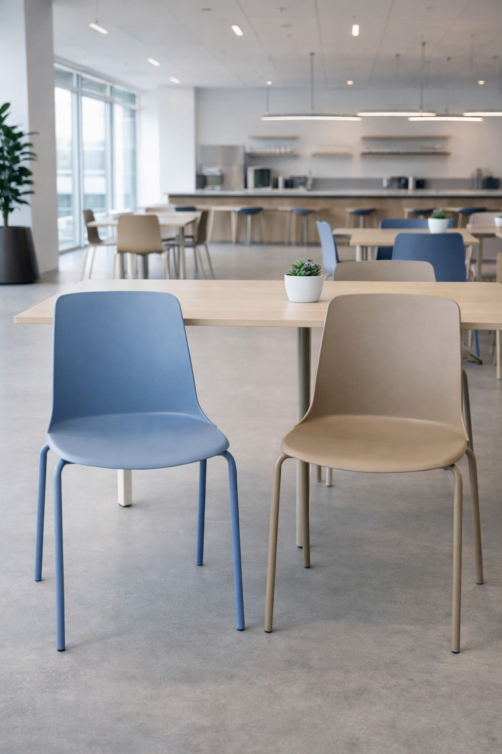 Deux chaises empilables ALIX de Monsieur Bureau - l'une bleue, l'autre beige - sont disposées devant une table en bois avec une plante. Ces chaises élégantes et polyvalentes s'intègrent parfaitement dans la cafétéria lumineuse, avec son agencement spacieux et ses grandes fenêtres.#finitions_bleu