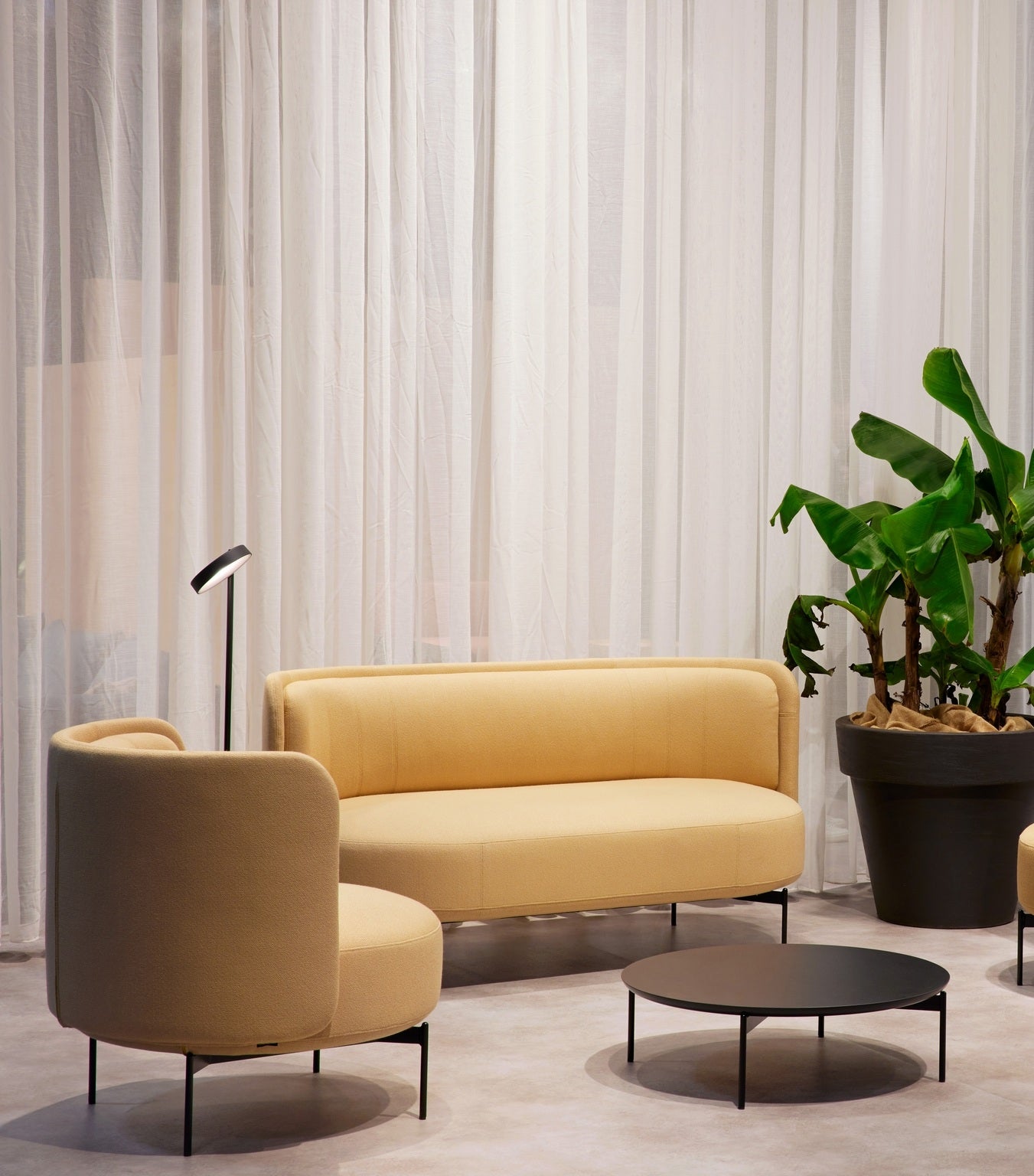 Un salon moderne avec un Canapé d'accueil dossier bas Jal beige de Monsieur Bureau, un fauteuil assorti, une table basse ronde noire, une grande plante en pot et des rideaux blancs transparents en arrière-plan.#finitions_jaune
