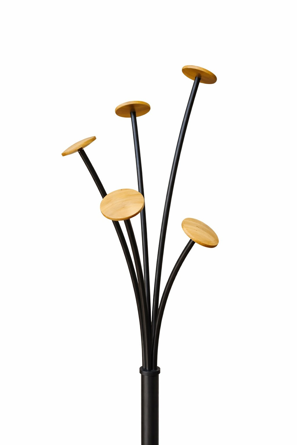 Le Portemanteau Signature Wood et porte-parapluies de Monsieur Bureau est composé de cinq branches courbes noires avec des disques en bois FSC, présentés sur un fond blanc.