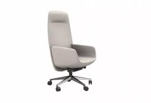 Fauteuil de bureau et sieges - Fauteuil de direction
