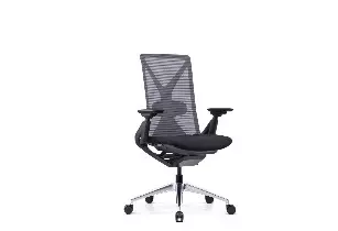 Fauteuil de bureau et sieges - Fauteuil de bureau ergonomique et siege ergonomique