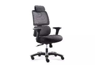 Fauteuil de bureau et sieges - Fauteuil XXL