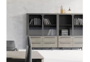 Armoire  Executive One 2 battants vitrés