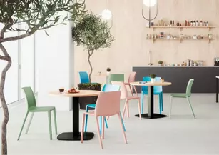 Lot de 2 chaises Solea