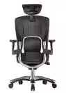 Fauteuil de bureau cuir Ergo Tech