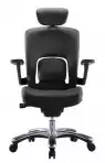 Fauteuil de bureau cuir Ergo Tech