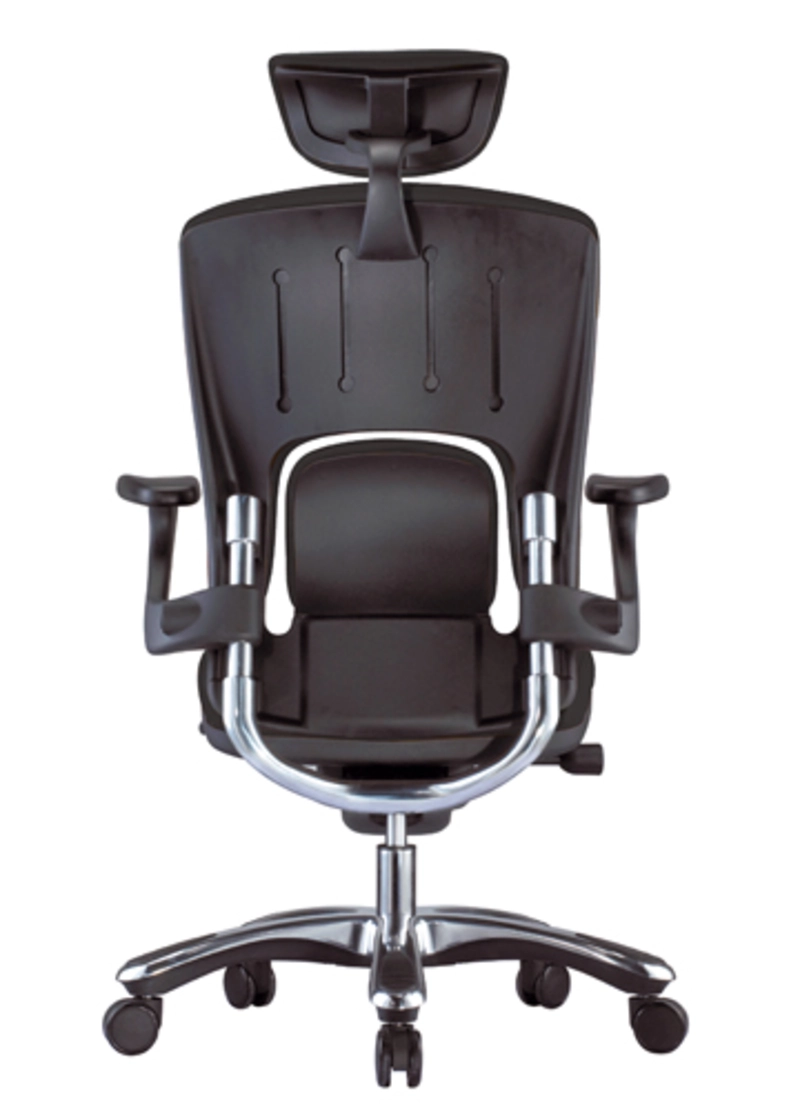 Fauteuil de bureau cuir Ergo Tech