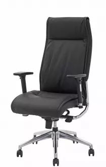 Fauteuil de direction Lui