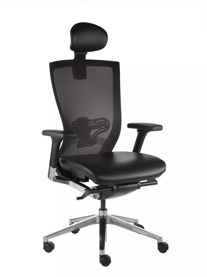 Fauteuil Direction Cuir Ergonomique X-Chair 