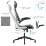 Fauteuil de direction ALBAN