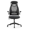 Fauteuil de direction ALBAN