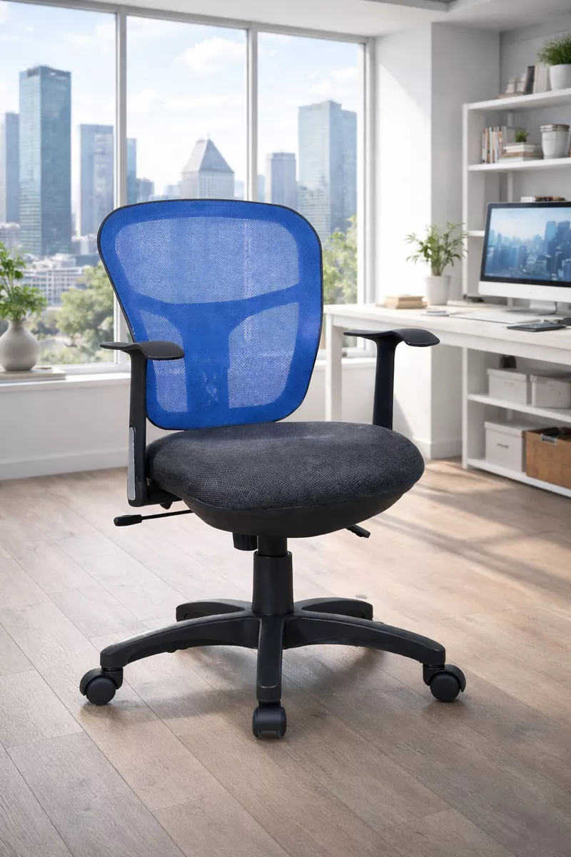 Fauteuil de Bureau Aries | R&eacute;sille et Soutien Lombaire