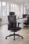 Fauteuil de bureau Auriga - m&eacute;canisme basculant d&eacute;centr&eacute;