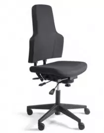Siège de bureau Backrest