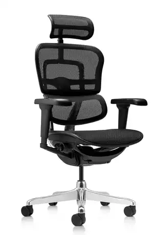 Fauteuil de bureau Direction Ergonomique Ultra résille – La Performance 5D