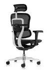 Fauteuil de bureau Direction Ergonomique Ultra r&eacute;sille &ndash; La Performance 5D