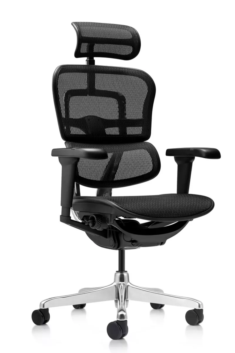 Fauteuil de bureau Direction Ergonomique Ultra r&eacute;sille &ndash; La Performance 5D