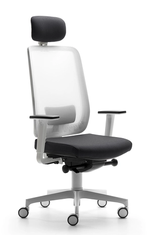 Fauteuil de bureau ergonomique ASSIA