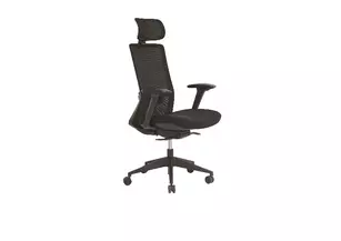Fauteuil de bureau ergonomique Aster