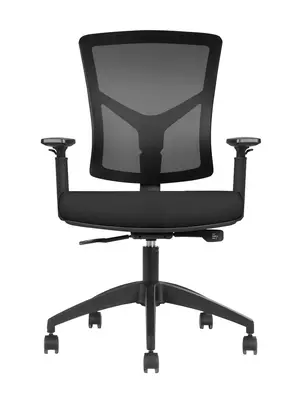 Fauteuil de Bureau Ergonomique Canis - Mécanisme Synchrone