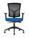 Fauteuil de Bureau Ergonomique Canis - M&eacute;canisme Synchrone