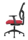 Fauteuil de Bureau Ergonomique Canis - M&eacute;canisme Synchrone