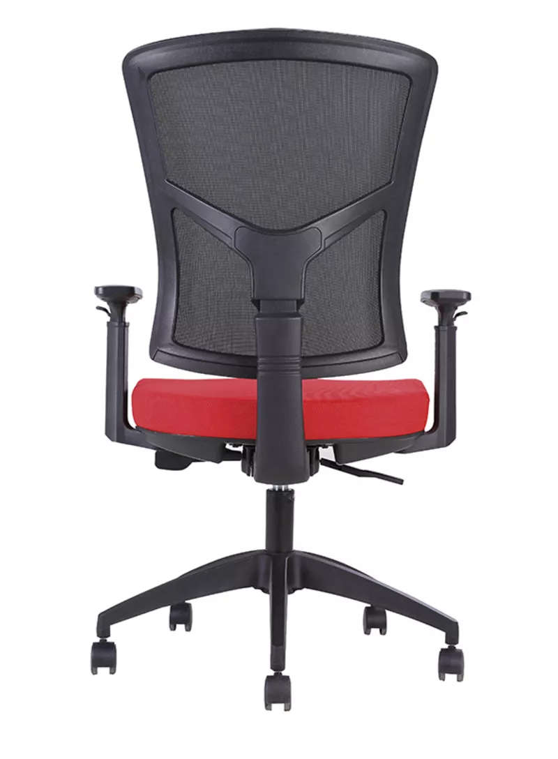 Fauteuil de Bureau Ergonomique Canis - M&eacute;canisme Synchrone