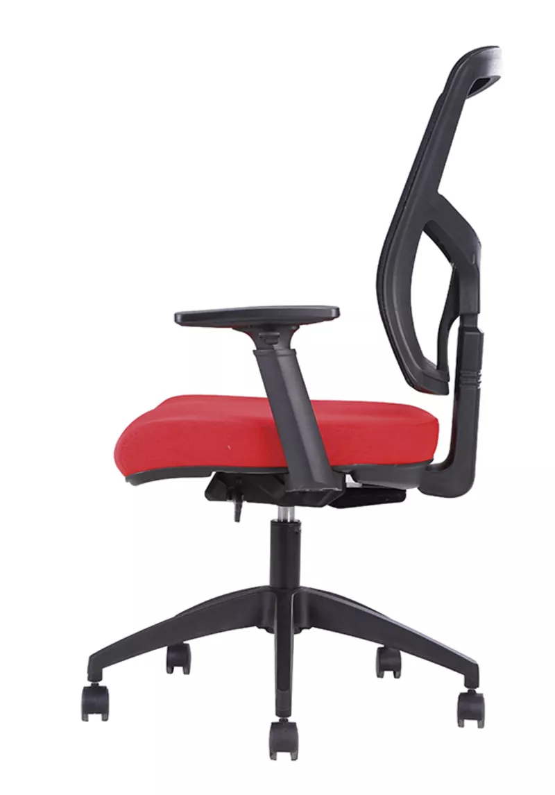 Fauteuil de Bureau Ergonomique Canis - M&eacute;canisme Synchrone